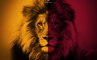 星空电竞热评-他们值得掌声